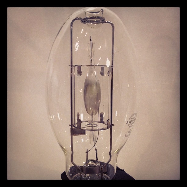 A film light bulb, photograph by Jonathan R. Whittaker.
